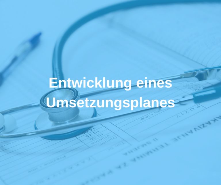 Entwicklung eines Umsetzungsplanes